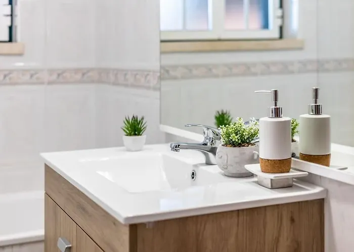 Coral - Private Large Pool & Garden Famalicão